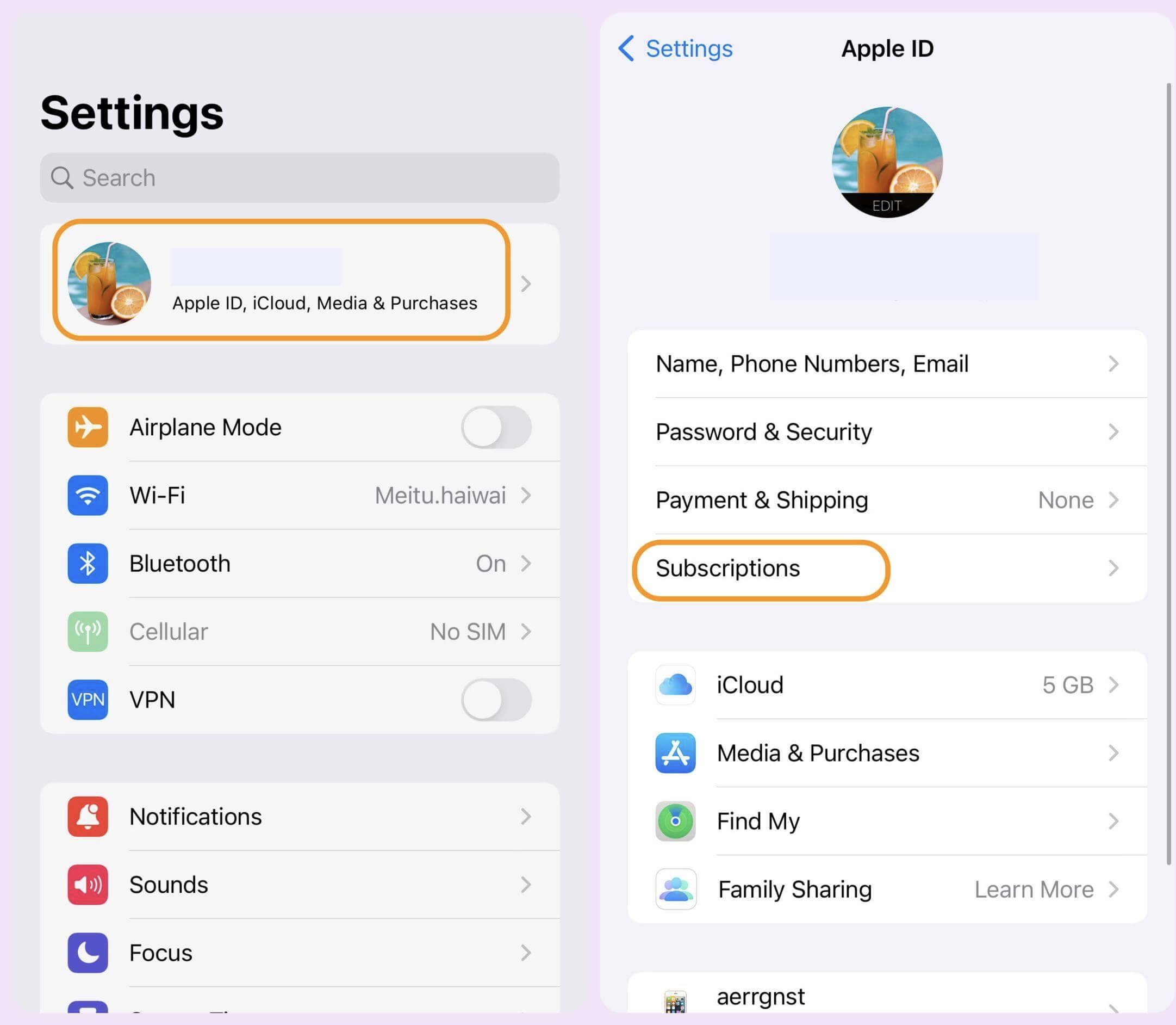 Check Subscriptions-iOS.jpg